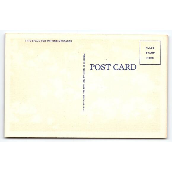 Vintage Linen Postcard Mimosas in Bloom Beautiful Southern Sight - Picture 2 of 2